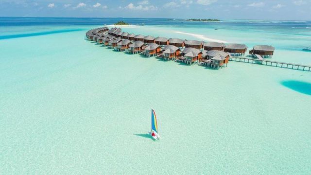 スペインのトマト祭りに参戦した チケット情報 注意点 ヒコーキ印